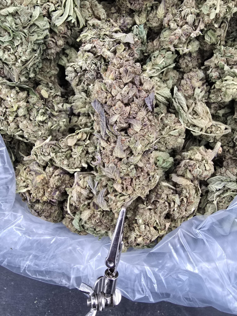 Willy Wonka