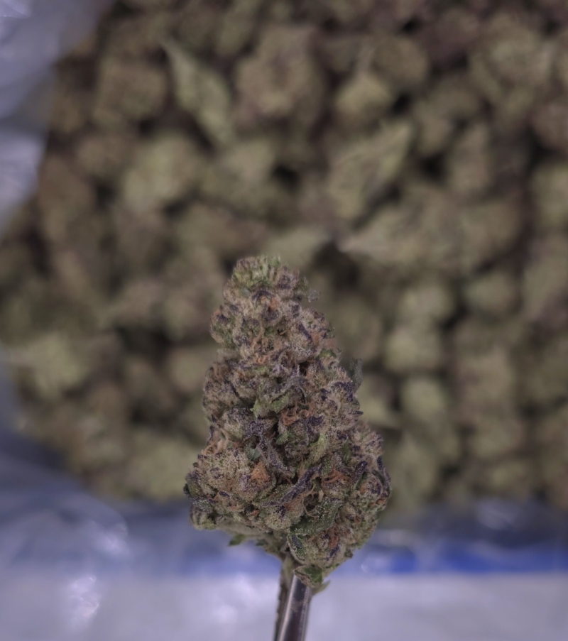 Cherry Cola