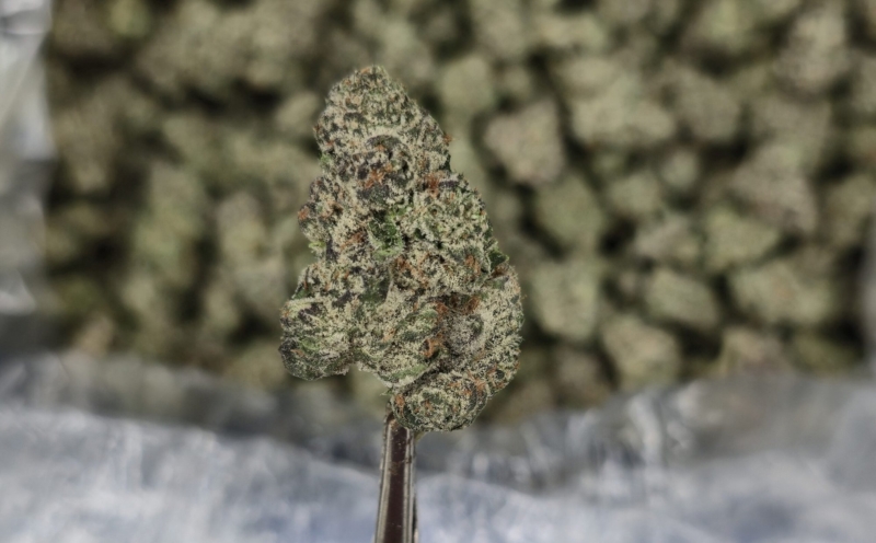 Platinum Grapes