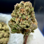 Atomic Apple THCA flower