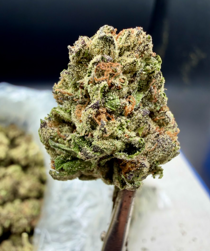 Atomic Apple THCA flower