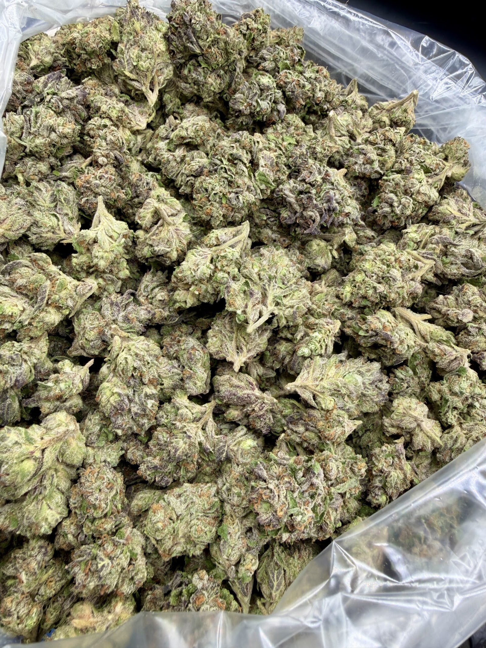 Banana Mac pound