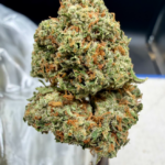 Cereal Milk THCA flower