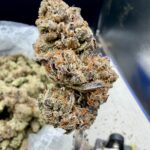 Gelato Supreme THCA flower