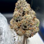 Gello Shot THCA flower