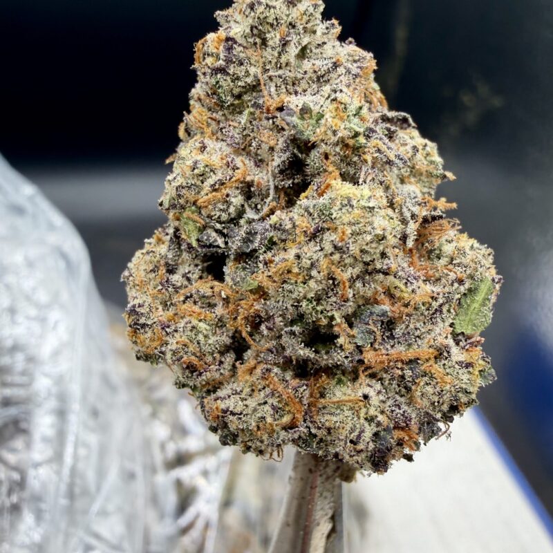 Gello Shot THCA flower