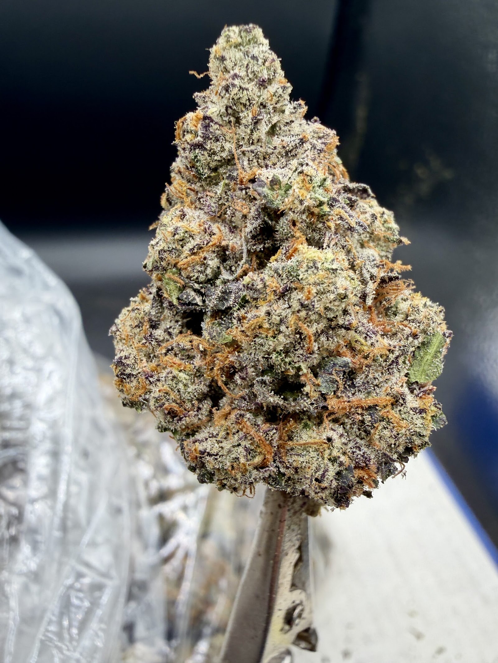 Gello Shot THCA flower