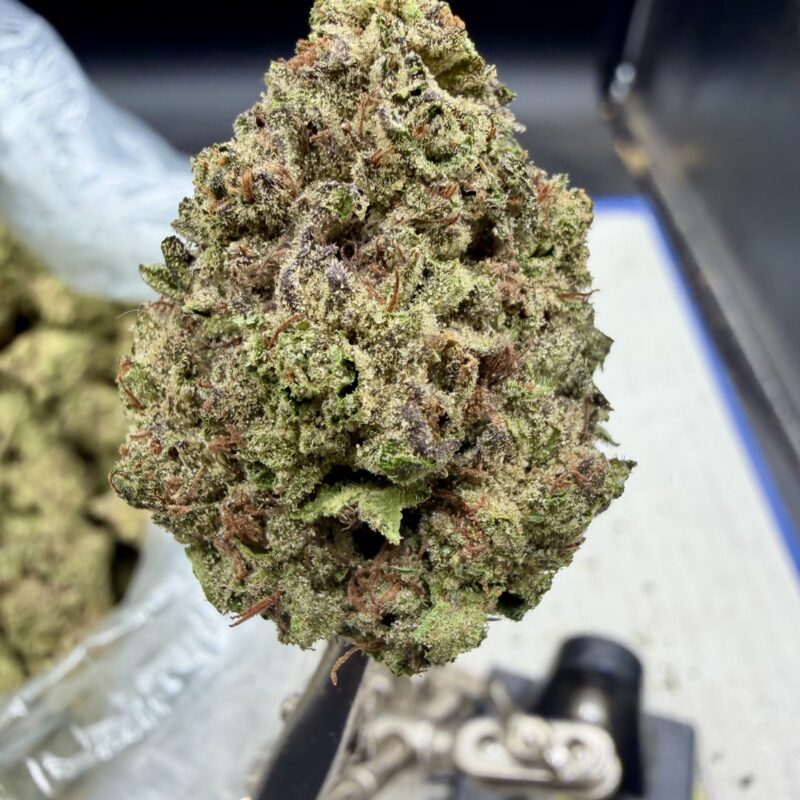 Guava Java THCA flower