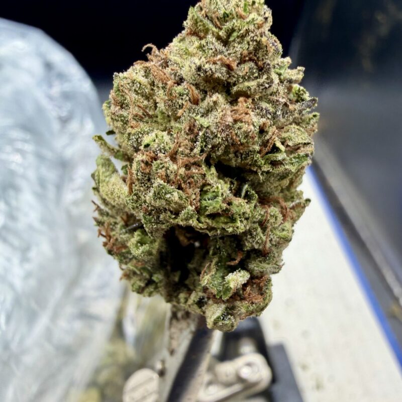 Headbanger THCA flower
