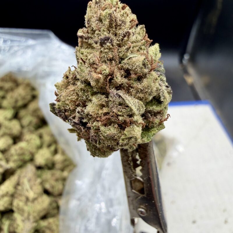 Honey Drop Gelato THCA flower