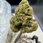Jolly Rancher THCA flower