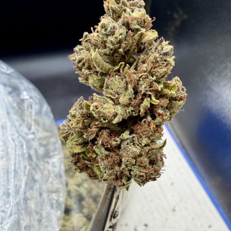 Jungle Juice THCA flower
