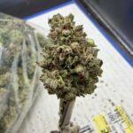 Lucky Charms THCA flower