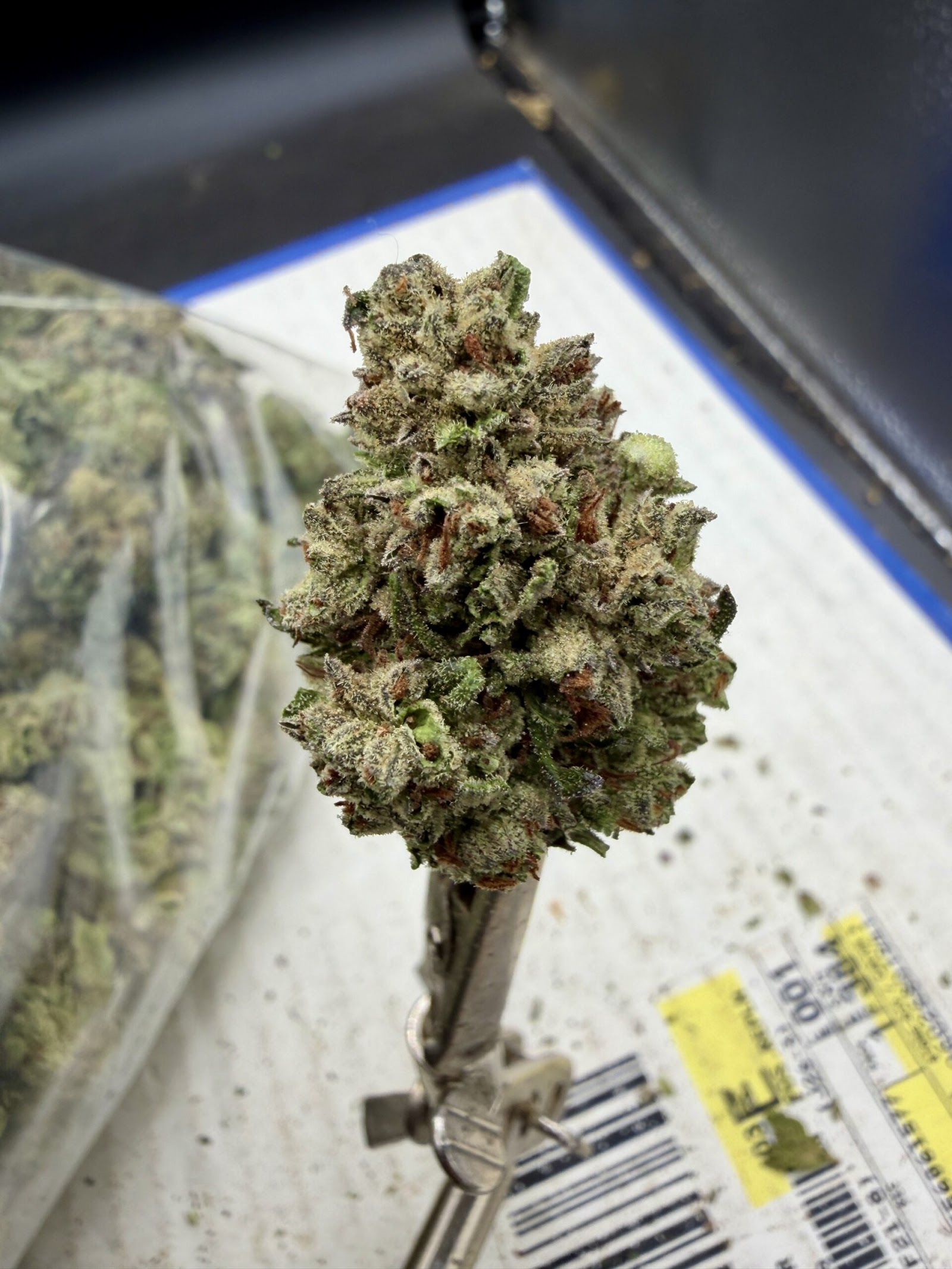 Lucky Charms THCA flower