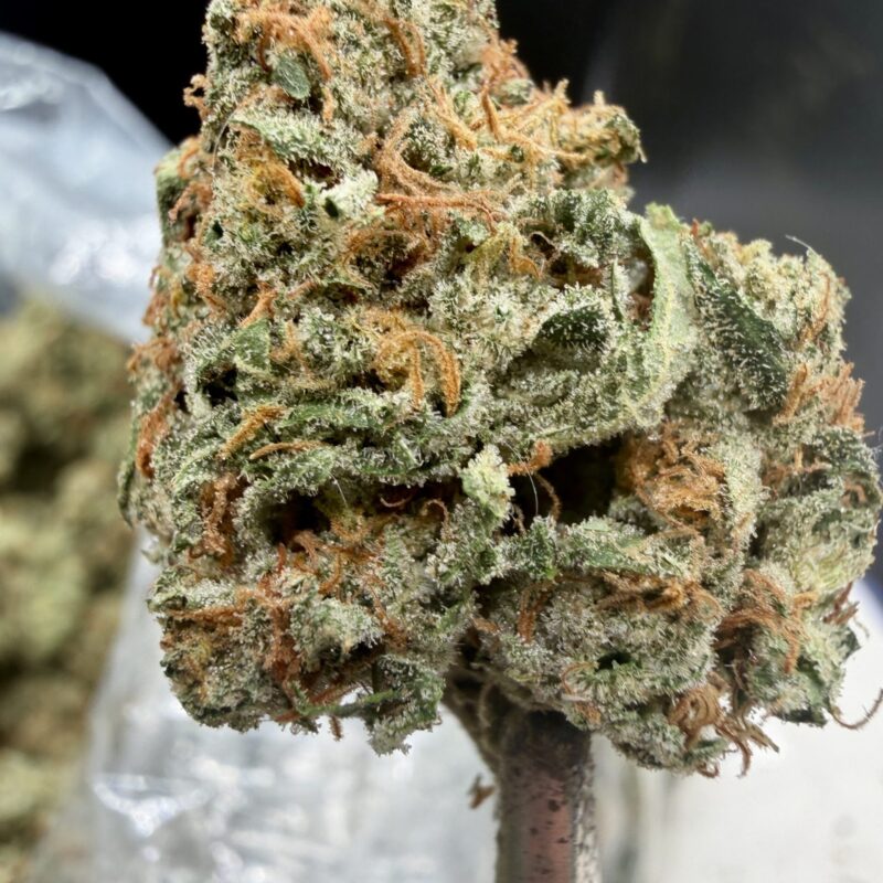 Magic Marker THCA flower