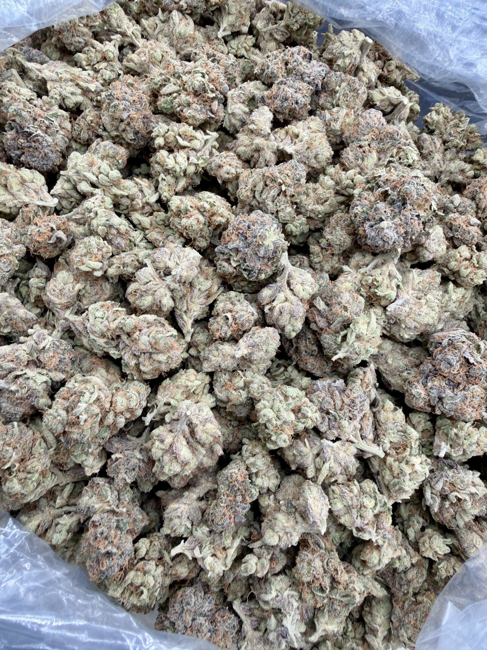 Midnight Berry pound