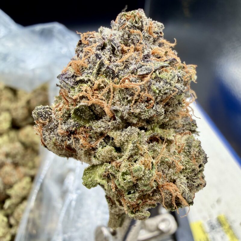 Midnight Berry THCA flower