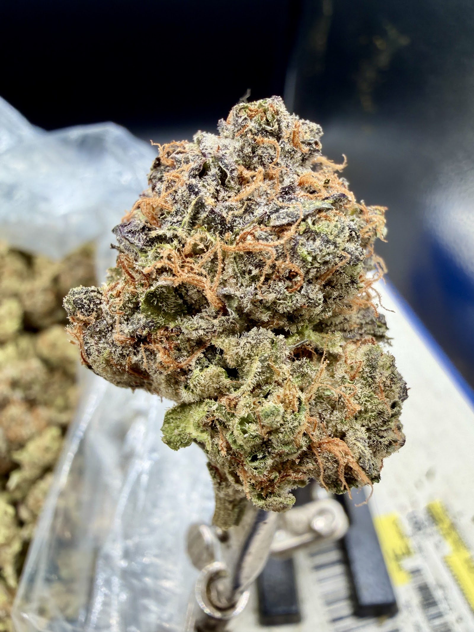 Midnight Berry THCA flower