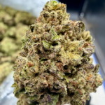 Pink Kush THCA flower