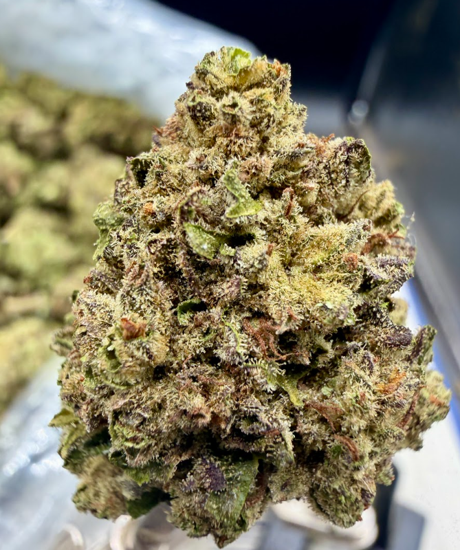 Pink Kush THCA flower