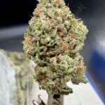 Public Nuisance THCA flower