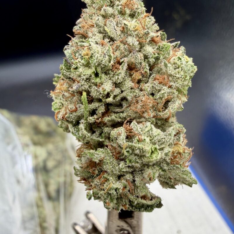 Public Nuisance THCA flower