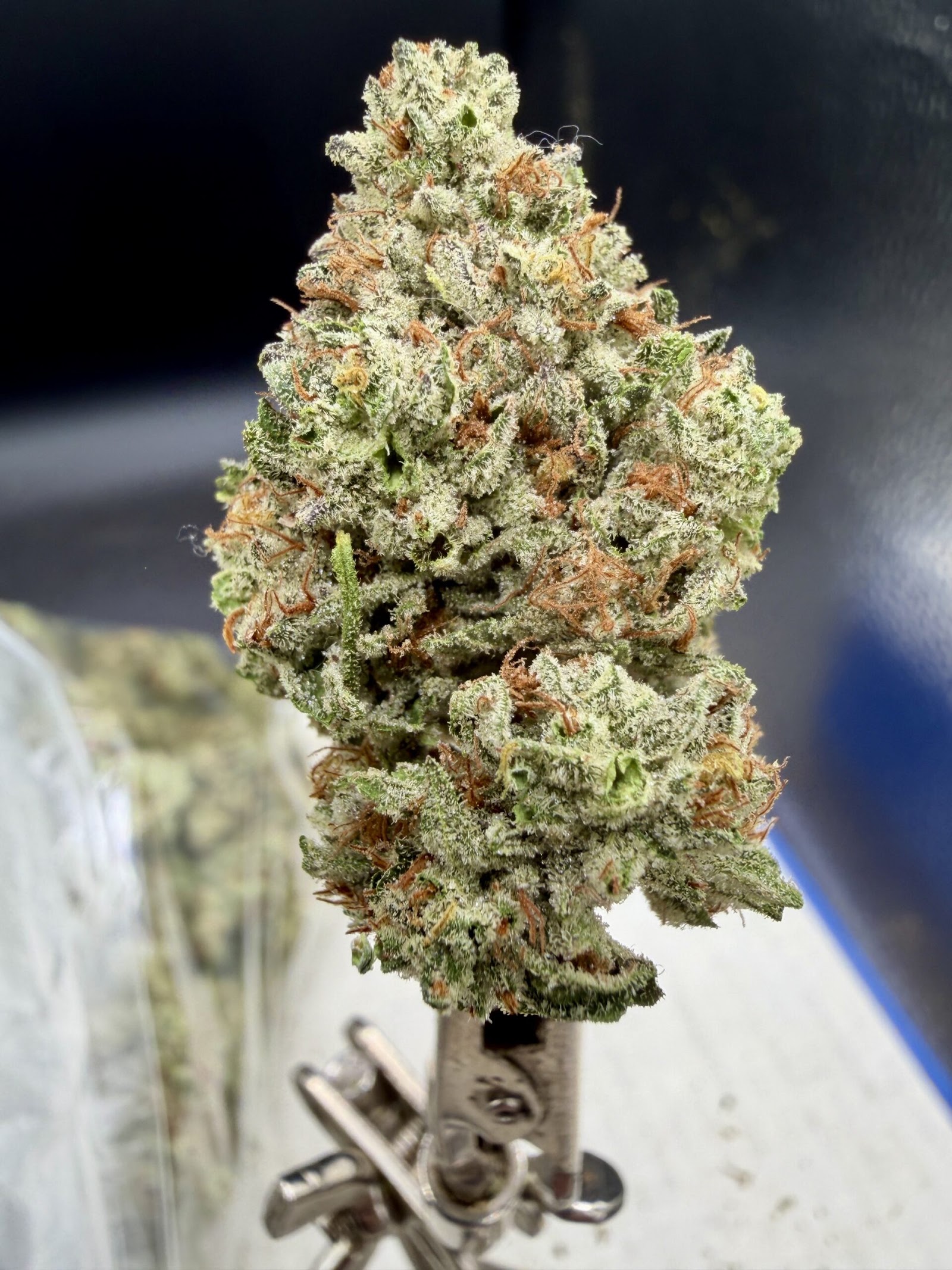 Public Nuisance THCA flower