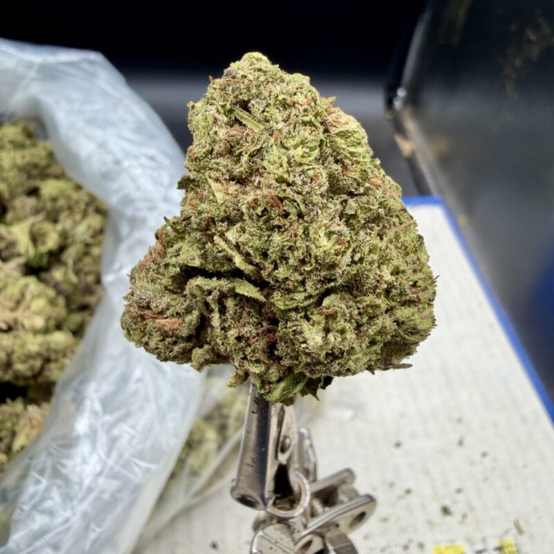 Purple People Eaters THCA flower