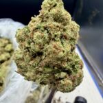Root Beer THCA flower
