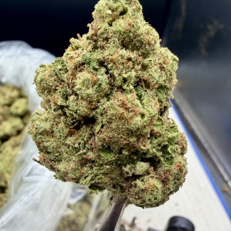 Root Beer THCA flower