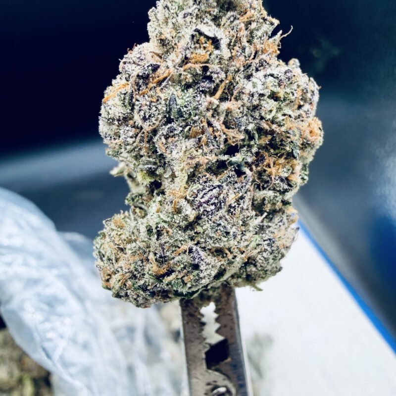 Scented Marker THCA flower