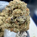 Smugglers Tar THCA flower