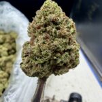 Unruly OG THCA flower