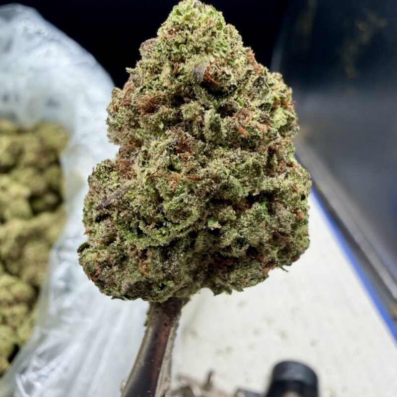 Unruly OG THCA flower