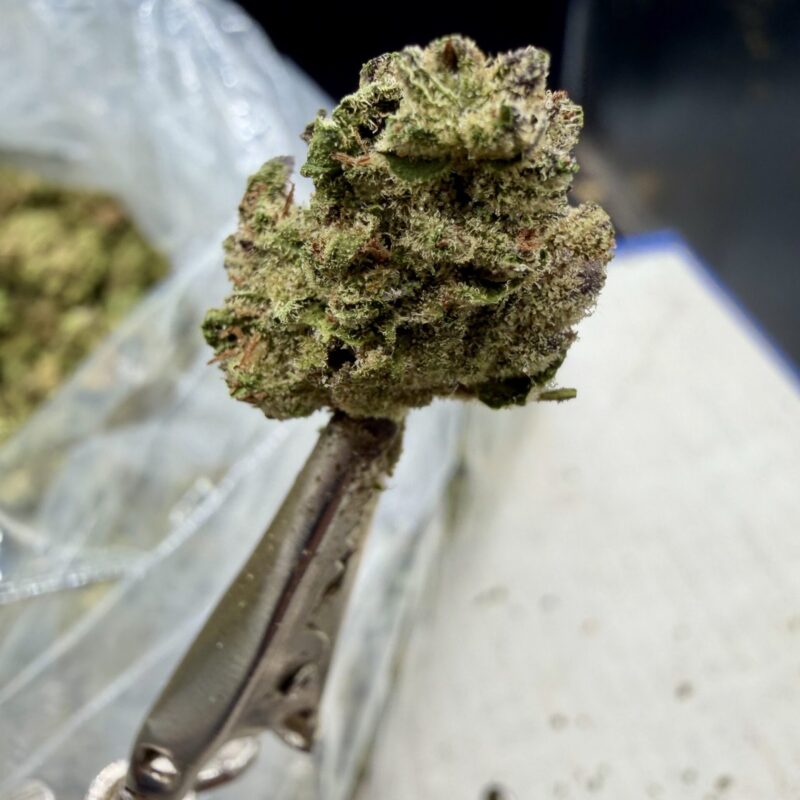 Vanilla Runtz THCA flower