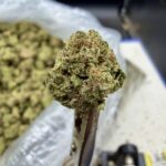 Zeth THCA flower